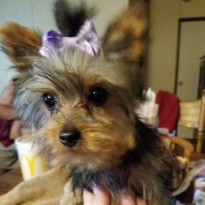 Meet your Posher, Sharon